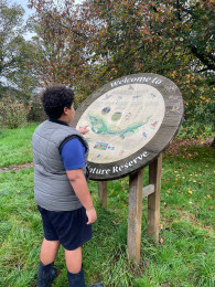 Nature sensory walks.