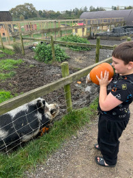 Helping the animals at local farms- encouraging children to take responsibility.