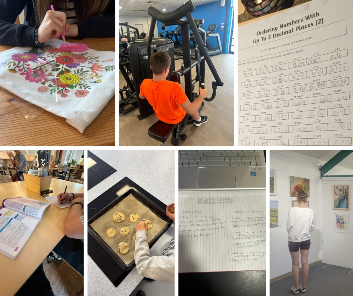 Various activities from this week