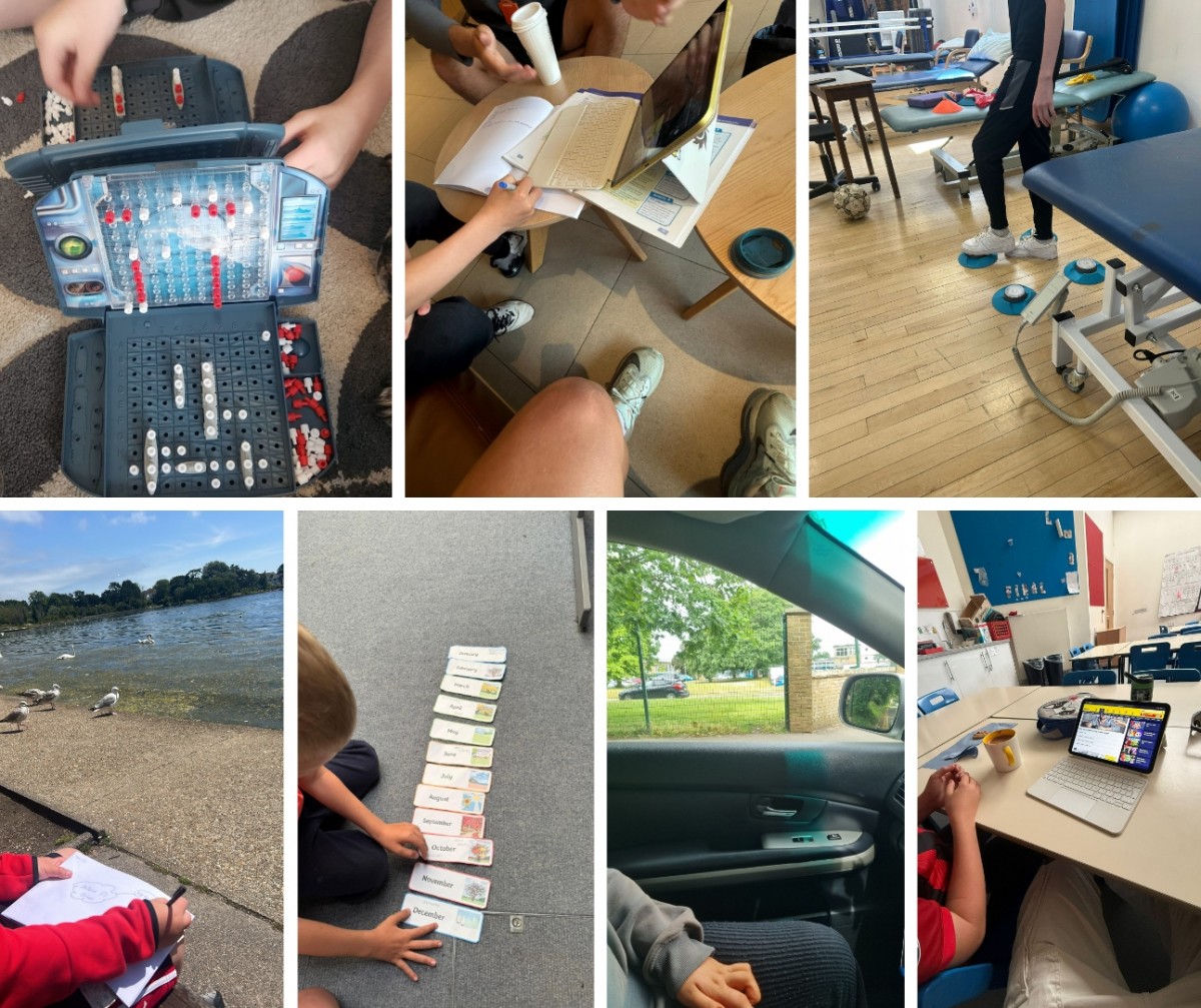Various activities from this week