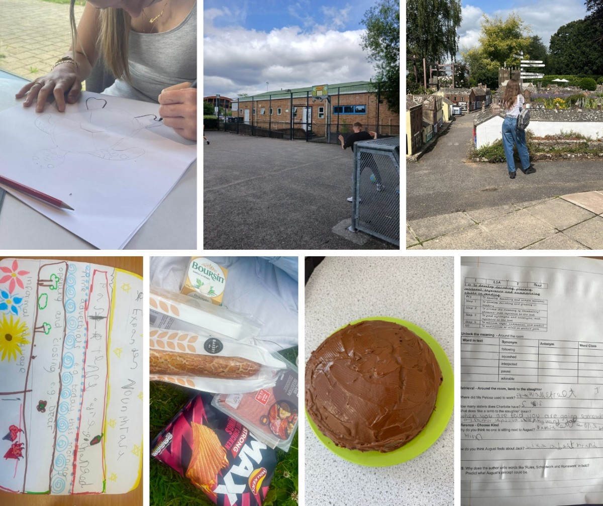 Various activities from this week