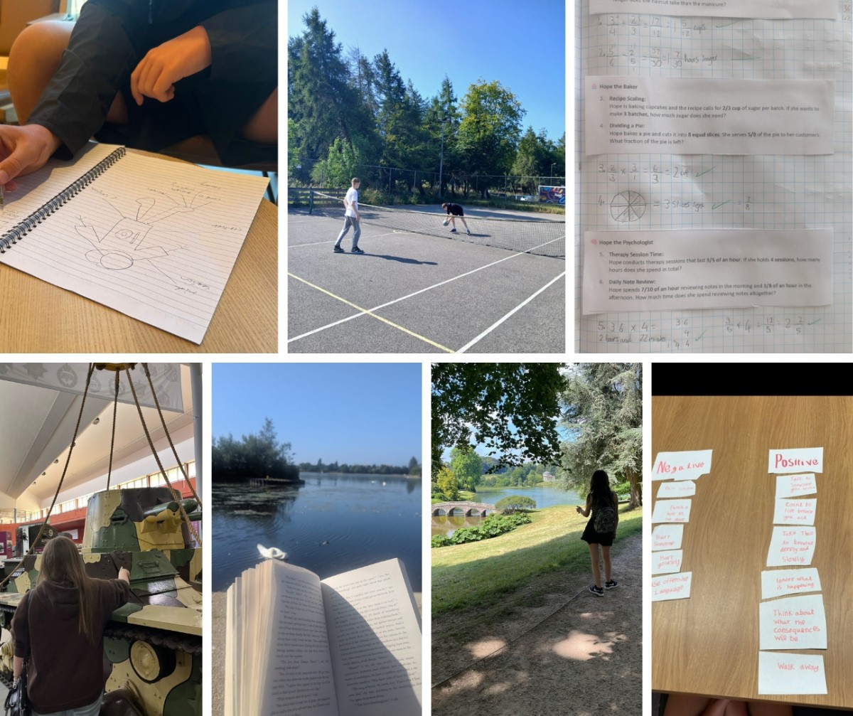 Various activities from this week