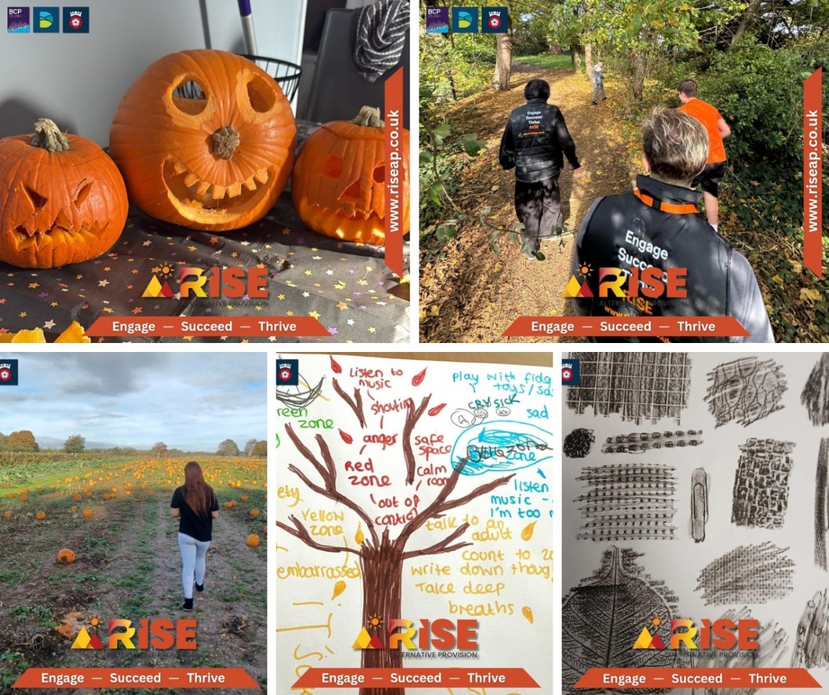 Various activities from this month